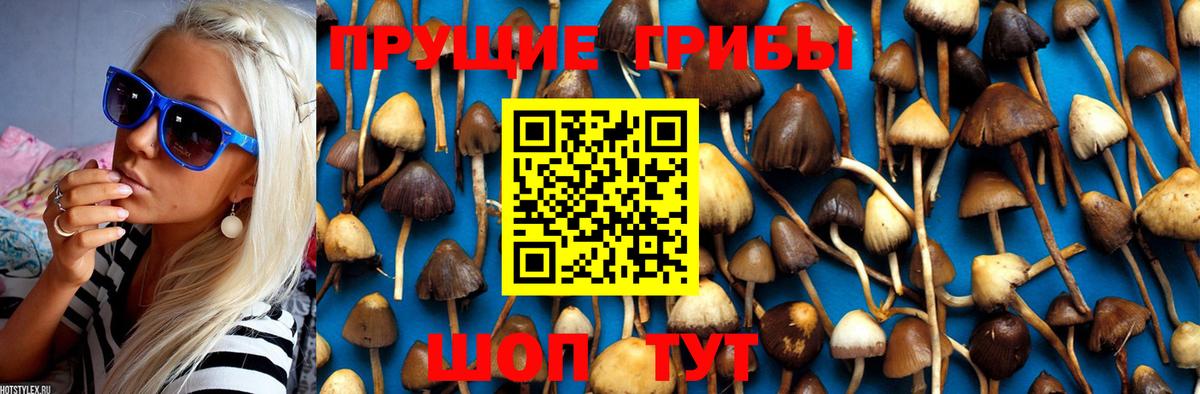 Галлюциногенные грибы MAGIC MUSHROOMS Вышний Волочёк