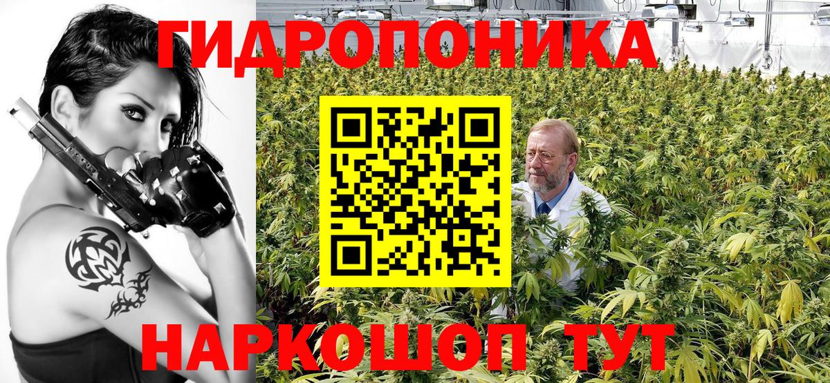 Канабис ГИДРОПОН Вышний Волочёк
